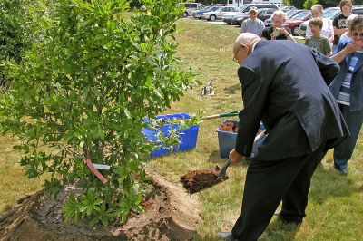 COA Memorial Tree Planting
George Church shovels mulch onto the tree planted in his wife's memory, former longtime COA board member Katherine Church, which was planted and dedicated on the grounds adjacent to the Rochester COA Center. (Photo by Kenneth J. Souza).
