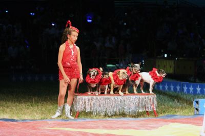 Three-Ring Circus
Cole Brothers Circus of the Stars recently rolled into Rochester on June 25 and 26 for a series of four shows over the course of two days under the Big Top pitched in the field adjacent to the Plumb Corner Mall. (Photo by Robert Chiarito).
