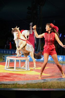 Three-Ring Circus
Cole Brothers Circus of the Stars recently rolled into Rochester on June 25 and 26 for a series of four shows over the course of two days under the Big Top pitched in the field adjacent to the Plumb Corner Mall. (Photo by Robert Chiarito).
