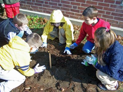 Students Sowing Seeds
Second graders at Rochester Memorial School received a grant of 200 bulbs from the North American Flowerbulb Wholesales Association, and small groups of students set the 178 bulbs around the schools sign and on either side of the front door earlier this week. Students are now eagerly looking forward to April when their plantings will begin to bloom. (Photo courtesy of Linda Medeiros).
