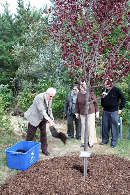 Branching Out
Members of the Rochester Council on Aging (COA) dedicated a tree outside the Senior Center in memory of longtime COA member Marie McCarthy on October 3. (Photo by Robert Chiarito.)


