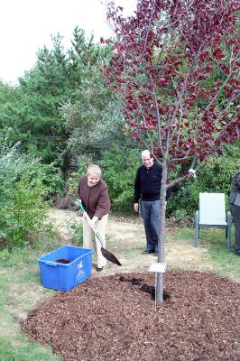 Branching Out
Members of the Rochester Council on Aging (COA) dedicated a tree outside the Senior Center in memory of longtime COA member Marie McCarthy on October 3. (Photo by Robert Chiarito.)


