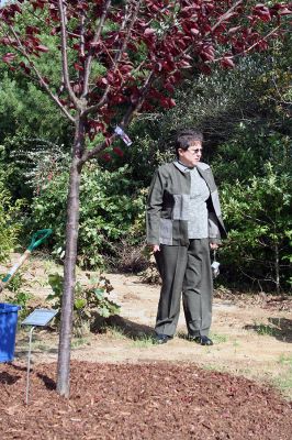 Branching Out
Members of the Rochester Council on Aging (COA) dedicated a tree outside the Senior Center in memory of longtime COA member Marie McCarthy on October 3. (Photo by Robert Chiarito.)


