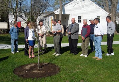 Witness Tree
Members of the Mattapoisett Tree Committee dedicated a tree which was planted last fall in the new War Memorial Park at the Mattapoisett Free Public Library on Friday, April 25. A certificate of authenticity was provided indicating that the newly-planted Witness Tree, a tulip poplar, is a direct descendant of a tree planted by George Washington at Mount Vernon. (Photo courtesy of Danny White).
