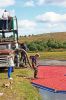 Filename=CranberryPicking5.jpg
Filesize=286KiB
Dimensions=600x900
Date added=Oct 03, 2007 CranberryPicking5.jpg