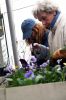 Filename=Flowers_4.JPG
Filesize=148KiB
Dimensions=600x900
Date added=Apr 08, 2009 Flowers_4.JPG