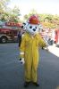Filename=MRFireOpen1.jpg
Filesize=206KiB
Dimensions=600x900
Date added=Oct 15, 2008 MRFireOpen1.jpg
