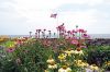 Filename=MRGardens3.jpg
Filesize=252KiB
Dimensions=900x600
Date added=Jul 24, 2007 MRGardens3.jpg