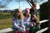 Filename=MTHoliday10.jpg
Filesize=265KiB
Dimensions=900x600
Date added=Dec 10, 2008 MTHoliday10.jpg