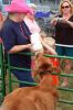 Filename=ROCountryFair11.jpg
Filesize=173KiB
Dimensions=600x900
Date added=Aug 26, 2008 ROCountryFair11.jpg