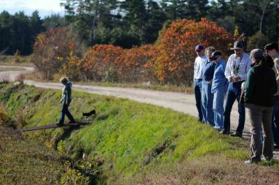 Cranberry Harvesting with RLT
The Rochester Land Trust invited the public to see cranberry harvesting "at close range" on Mary's Pond Road on Sunday, October 16. Photo by Felix Perez.
