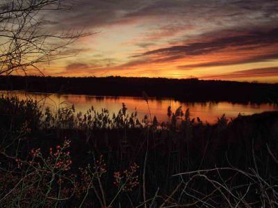 Sunset on Eel Pond
This beautiful winter sunset photo over Eel Pond was submitted to The Wanderer by reader Terry Dall. Please submit your Tri-Town photos to news@wanderer.com.
