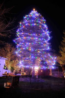 Marion Holiday Tree 2011
The Marion Holiday tree was lit as a part of the village Stroll on December 11, 2011. The tree is a part of the merry display at Bicentennial Park. Photo by Felix Perez.
