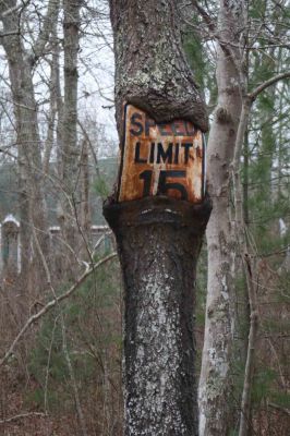 Slow Sign
Nature reclaims a Speed Limit sign on Pico Beach Road in Mattapoisett. Photo by Anne Kakley.
