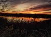 Filename=WT010211.jpg
Filesize=49KiB
Dimensions=1306x979
Date added=Jan 02, 2012 WT010211.jpg