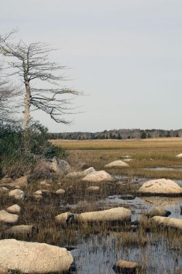 Aquaculture Rules 
At the end of the Walega-Livingstone Preserve in Mattapoisett, Brandt Island Cove is a serene view, and home to an existing aquaculture operation. At a November 1 meeting, the Mattapoisett Board of Selectmen held a public hearing for a final reading of the Aquaculture Rules and Regulations and Waterfront Management Plan. Based on public comment, the documents will be finalized and approved before the end of the year. Photo by Paul Lopes. November 3, 2011 edition

