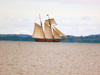 Crossing the Bay
Faith Ball shared this photo if a beautiful ship crossing the bay.
