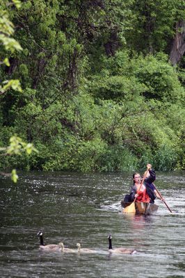 Rochester Memorial Day Boat Race
It rained, again, for the Rochester Memorial Day Boat Race on Monday, May 29, but that never stops the participants from paddling the 14 miles of the Mattapoisett River that winds from Grandma Hartley’s Reservoir in Snipatuit Pond in Rochester all the way to the Herring Weir in Mattapoisett off River Road and Route 6. This was the 83rd year of the Tri-Town tradition. Photos by Jean Perry
