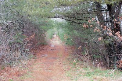 The Bogs in Mattapoisett 
The Buzzards Bay Coalition on Saturday, January 16 led a group through The Bogs in Mattapoisett for a winter hike. Walkers donned raingear just in case the rain wasn’t quite over yet. Photos by Colin Veitch
