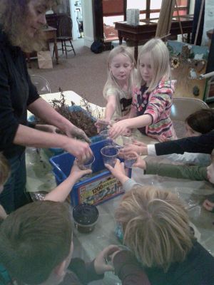 Cranberry Program
On Wednesday, Nov. 20th, he Marion Natural History Museum after-school group investigated how a cranberry bog formed in New England.  Museum Director, Elizabeth Leidhold, helped the kids to explore the physical structure of a bog, and how to tell a healthy berry from a rotten one.  The students then made “mini-bogs” to take home. Photo courtesy Elizabeth Leidhold
