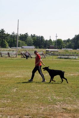 SouthCoast Working Dog Club
The SouthCoast Working Dog Club held a three-day Schutzhund trial at the Rochester Country Fairgrounds on May 27-29. The event is a competition in training, tracking, obedience, and protection for working breeds of dogs. Training Director Mario Gomes’ German shepherd, “Caribou,” is headed to the World Championship in Slovenia to represent the USA. Photos by Jean Perry and Denzil Ernstzen
