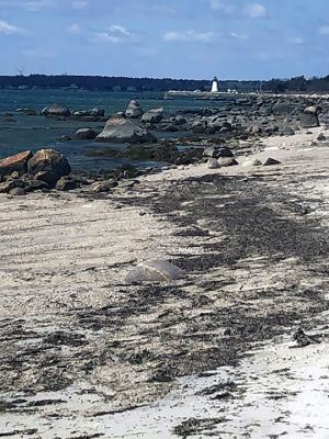 Quarantine Fun!
Folks shared their photos of fun during the good weather this weekend.
