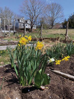 Quarantine Fun!
Folks shared their photos of fun during the good weather this weekend.

