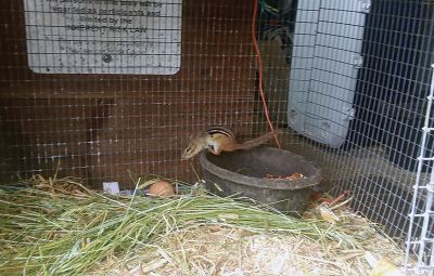 Nature Photography
Thank you to all of our followers on Facebook and for sharing all your great nature and wildlife photos. We couldn’t fit them all so be sure to check out our Facebook page for more!
