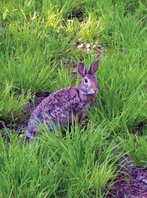 Nature Photography
Thank you to all of our followers on Facebook and for sharing all your great nature and wildlife photos. We couldn’t fit them all so be sure to check out our Facebook page for more!
