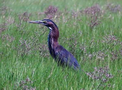 Mattapoisett
Faith Ball shared some photos taken during a kayak paddle this weekend in Mattapoisett.
