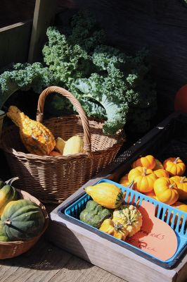 Rochester Farm Stand
In Rochester you either run a farm stand or you patronize a farm stand. Either way, you can’t make it to the end of a windy Rochester road without encountering a farm stand at this time of year, stocked with the autumn essentials grown in the Rochester ground and picked by Rochester hands. Photo by Jean Perry October 3, 2019 edition
