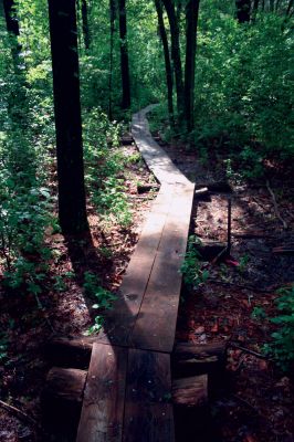 Eastover Trail
A boardwalk stretches through "Eastover South", a new Marion hiking trail that is being built by the Trustees of Reservation and a group of local volunteers. Photo by Robert Chiarito
