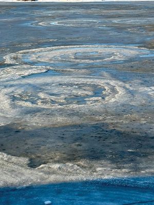 Mattapoisett
Mattapoisett Harbor. Photo by Jennifer Shepley
