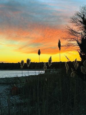 Mattapoisett
Photo by Jennifer Shepley
