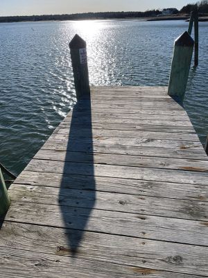 Harbor Sun
Photo by Jen Shepley
