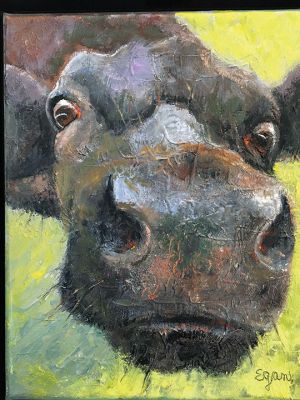 Marion Art Center
“Curiosity” by painter Jane Egan is a petite framed oil on canvas. It is joy in the form of a playful cow close-up. The technique of layering oils to create a realistic tactile surface gives the curious bovine a more realistic appearance. This engaging piece and many more are featured in the Marion Art Center’s 2022 Winter Members Show on exhibit through February 11. Photo by Marilou Newell

