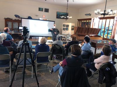 Marion Natural History Museum
The Marion Natural History Museum's Wednesday morning group had a wonderful time last week hearing about our local butterflies and how to attract them to our yards. Joe Dwelly, a Yarmouth resident, shared his expertise on butterfly life cycles, habitat requirements and migration patterns. He covered some of our migratory butterflies versus nonmigratory and how to identify several of our local species. Joe went over some specific host plants for certain species' reproduction needs and the plants which provid
