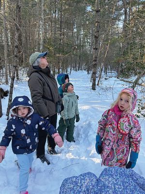 Marion Natural History Museum
On February 4, the Marion Natural History Museum’s afterschool group learned a few things about our most common backyard birds with Carol Molander of the Nasketucket Bird Club. In preparation for the Great Backyard Bird Count (February 13 and February 16), the kids received their own mini-guides showing images of the birds and also listened to their very distinct calls. When we ventured outside, the kids were the first to see a red-tailed hawk circling overhead. We also saw a European starling, American cro
