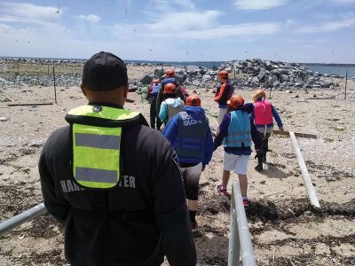 Marion Natural History Museum
The Marion Natural History Museum's after school group had another wonderful trip to Bird Island, thanks to Isaac Perry and the Marion Harbormaster's group. Another group of students had a chance to see the newly-restored nesting habitat of the Roseate tern along with other sea birds. Many thanks to Isaac and his crew. Photo courtesy Elizabeth Leidhold
