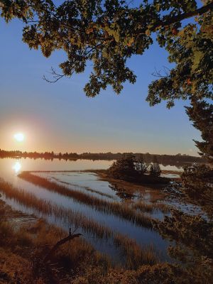 Mattapoisett Bike Path
Mattapoisett Bike Path by Sue Mitchell
