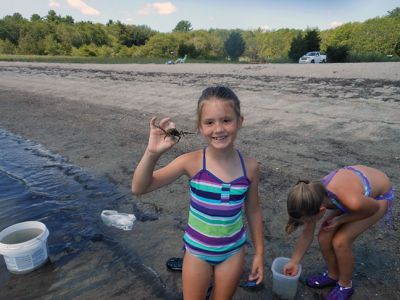 Nature Explorers
MattRec and the Marion Natural History Museum partnered for the second year to provide "Nature Explorers" summer program. The students explored several different locations around Mattapoisett this year.  We visited Land Trust property off Mattapoisett Neck Road and Bob Field gave us a tour of his Oyster farming operation. We visited salt marshes, went crabbing, netted many fish at Reservation beach, Aucoot Beach, and Ned's Point.   Photo courtesy Elizabeth Leidhold  
