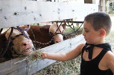 The 2015 Rochester Country Fair
The 2015 Rochester Country Fair was the place to go last week for family fun and good old-fashioned country entertainment.  Photo by Colin Veitch
