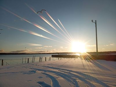 Mattapoisett Town Beach
Mattapoisett Town Beach seagull soaring at sunset. Photo by Rob Grant
