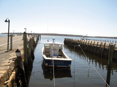 Mattapoisett Harbor
Photo by Ruth Griffin
