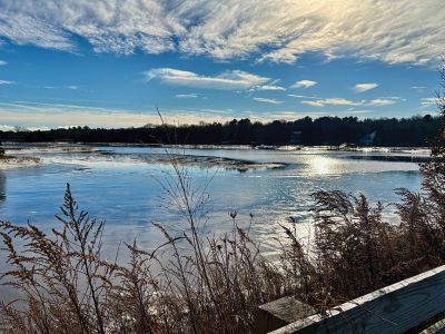 Mattapoisett Bike Trail
View from the Mattapoisett Bike Trail. Photo by Ruth A. Griffin
