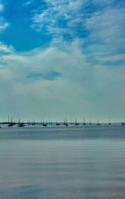 Mattapoisett Harbor
Mattapoisett Harbor in the early morning. Photo by Ruth Griffin
