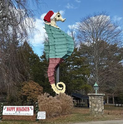 Salty's Santa Hat
Photo by Jennifer Shepley
