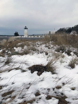 Mattapoisett Harbor
Photo by Jen Shepley
