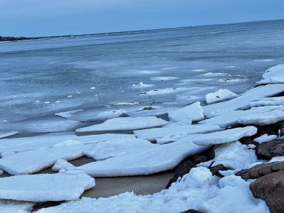Harbor Ice
Photo by Jennifer Shepley

