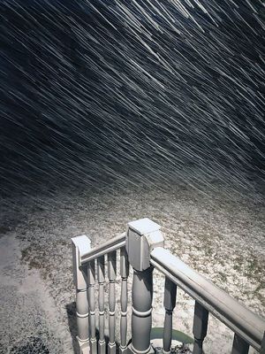 Snow Squall
Helene Rose shared these photos of her backyard in Mattapoisett after a recent snow squall.
